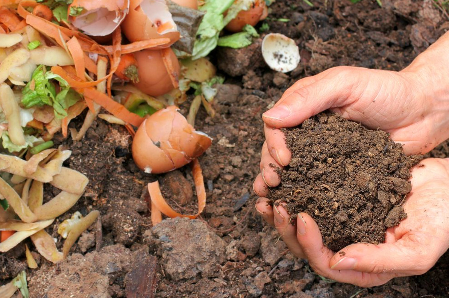 Organic Fertilizer Organic Fertilizer