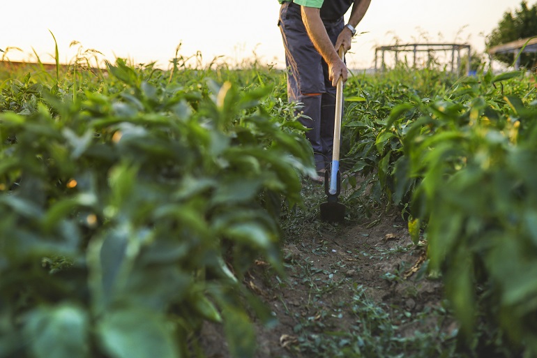 no tillage farming no tillage farming
